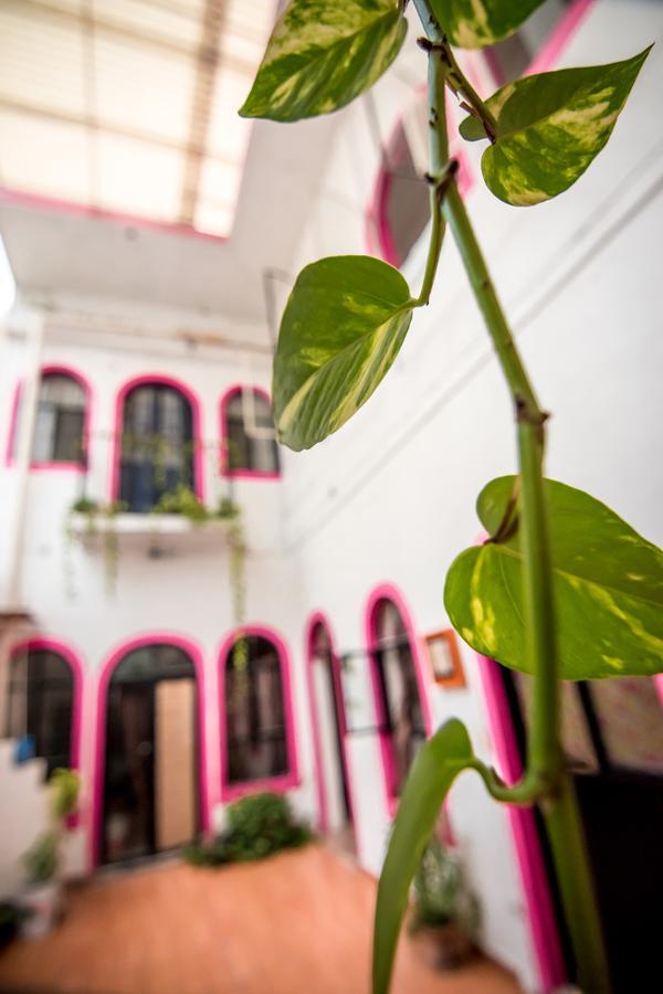 Taiyari Hostal Монтерей Екстериор снимка